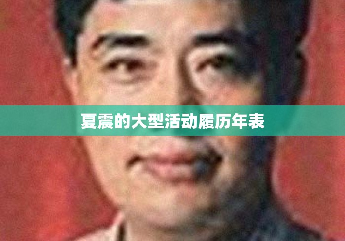 夏震的大型活动履历年表
