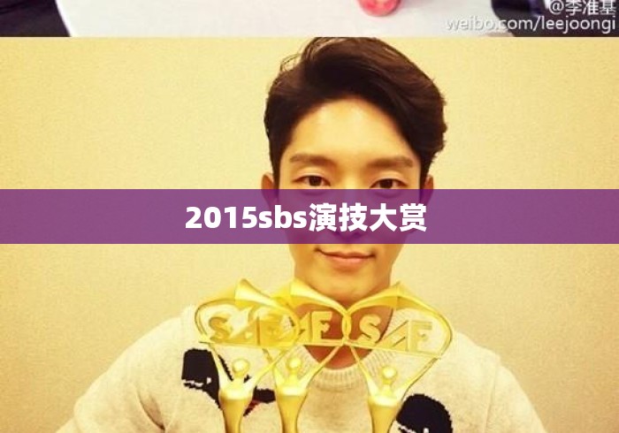 2015sbs演技大赏 
