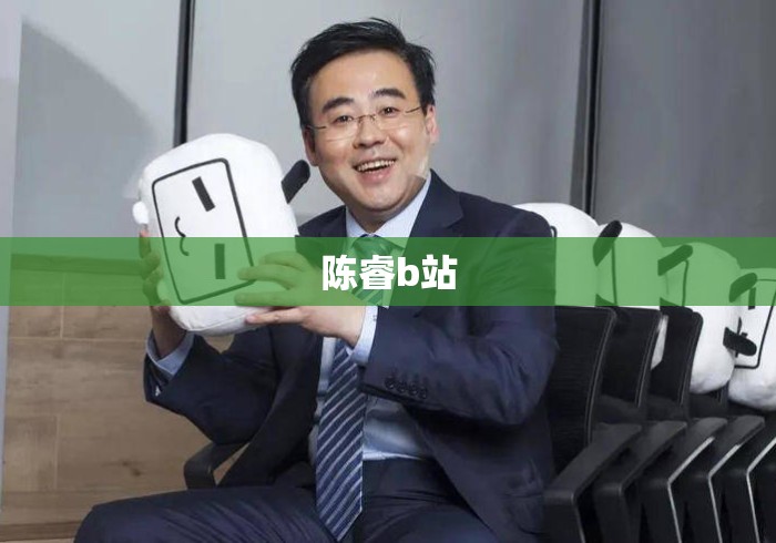 陈睿b站