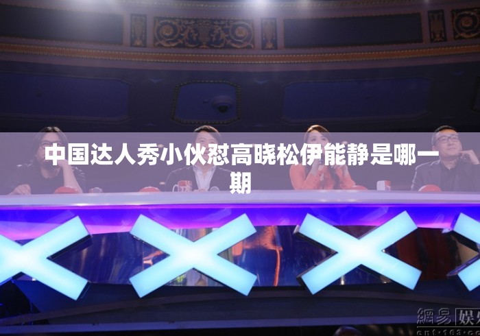 中国达人秀小伙怼高晓松伊能静是哪一期