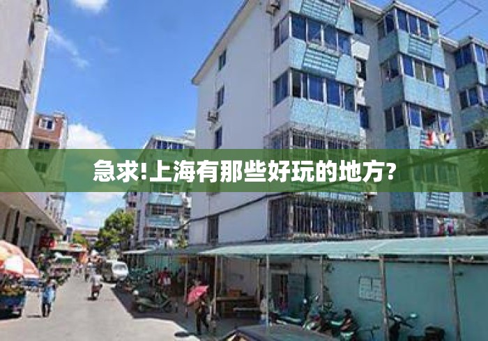 急求!上海有那些好玩的地方?