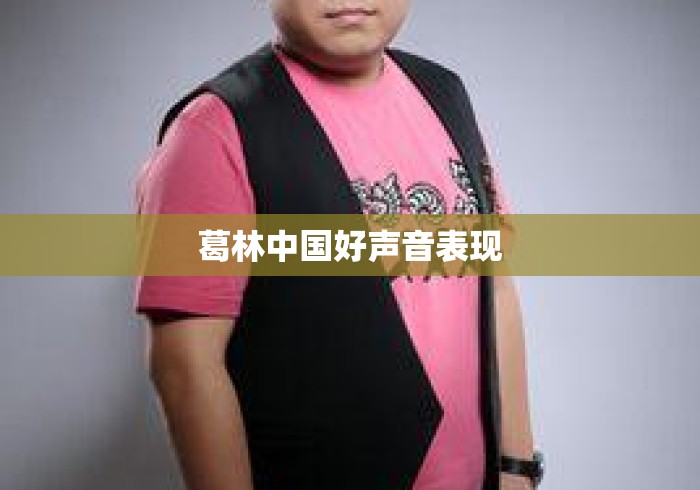 葛林中国好声音表现
