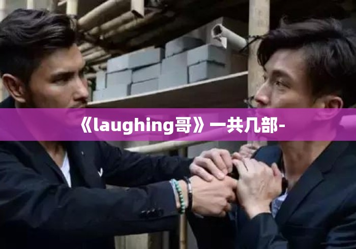 《laughing哥》一共几部- 《laughing哥》一共几部-