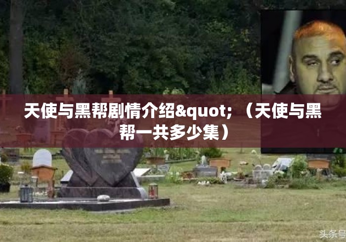 天使与黑帮剧情介绍" （天使与黑帮一共多少集）
