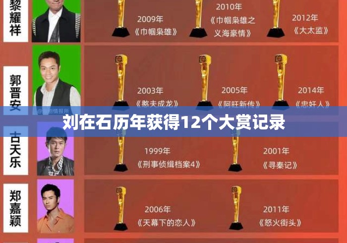 刘在石历年获得12个大赏记录