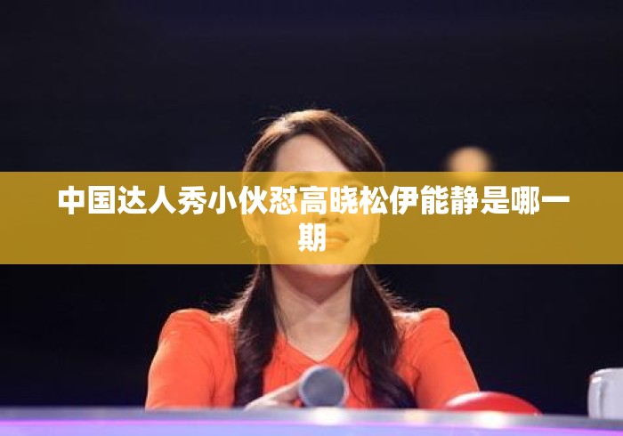 中国达人秀小伙怼高晓松伊能静是哪一期