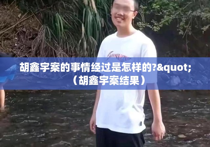 胡鑫宇案的事情经过是怎样的?" （胡鑫宇案结果）