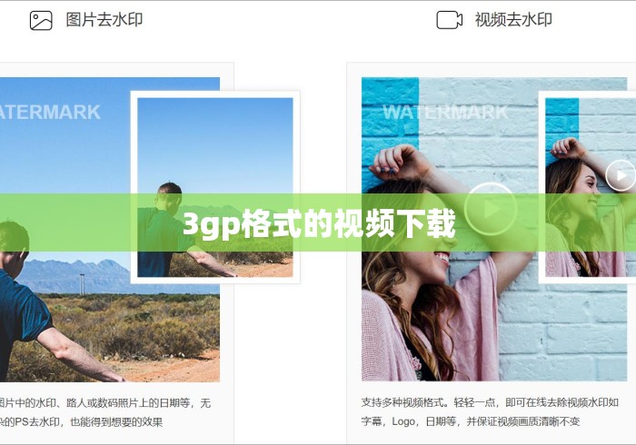 3gp格式的视频下载