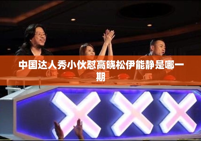 中国达人秀小伙怼高晓松伊能静是哪一期