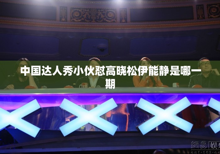 中国达人秀小伙怼高晓松伊能静是哪一期