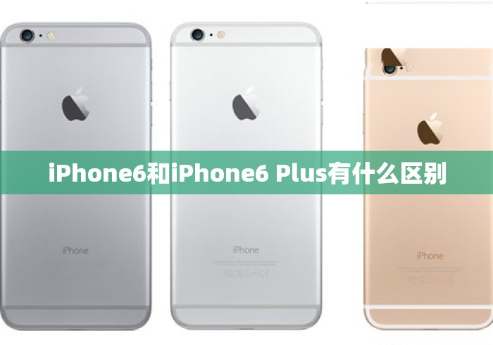 iPhone6和iPhone6 Plus有什么区别