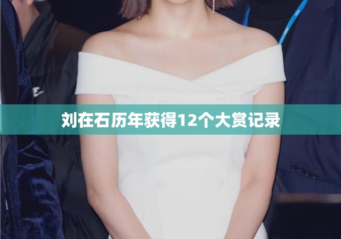 刘在石历年获得12个大赏记录 刘在石历年获得12个大赏记录