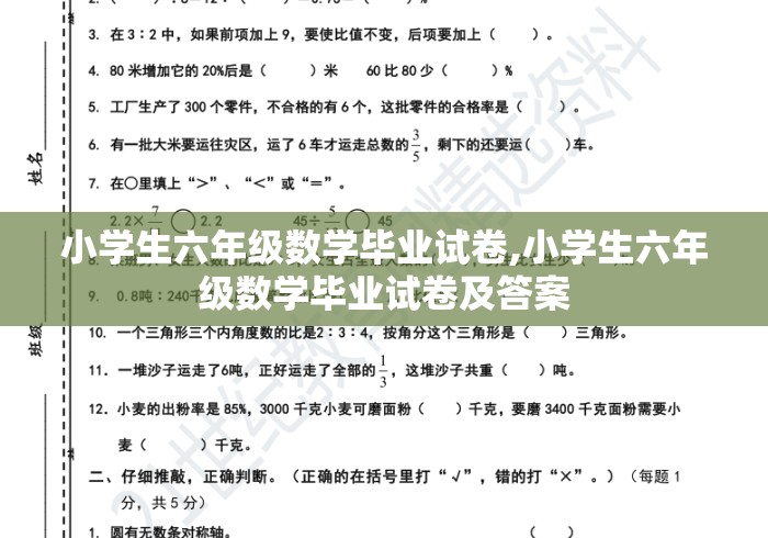 小学生六年级数学毕业试卷,小学生六年级数学毕业试卷及答案
