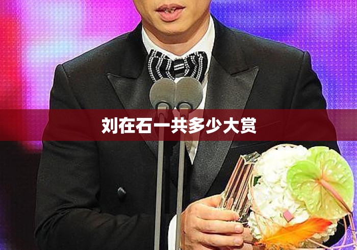 刘在石一共多少大赏