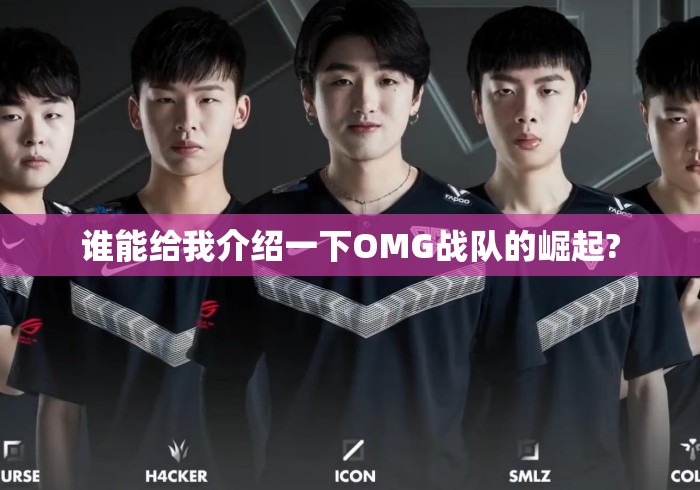 谁能给我介绍一下OMG战队的崛起? 谁能给我介绍一下OMG战队的崛起?