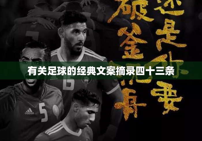 有关足球的经典文案摘录四十三条