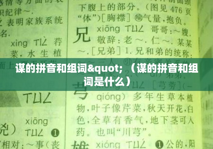 谋的拼音和组词" （谋的拼音和组词是什么）