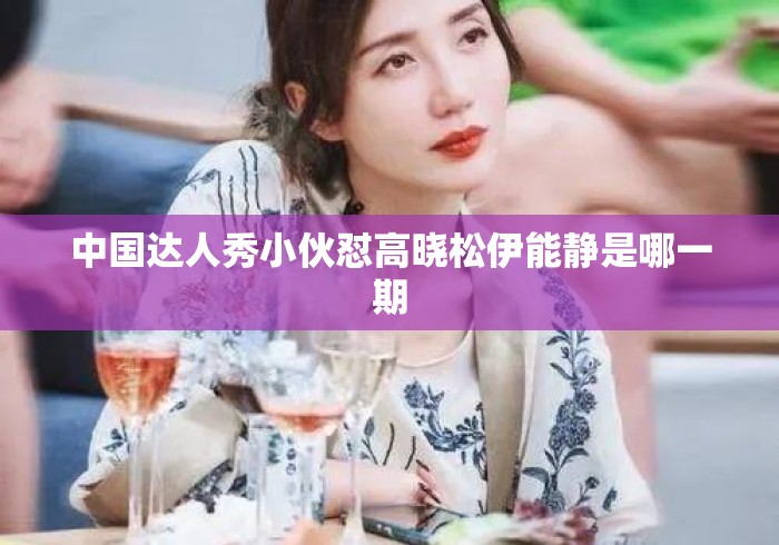 中国达人秀小伙怼高晓松伊能静是哪一期