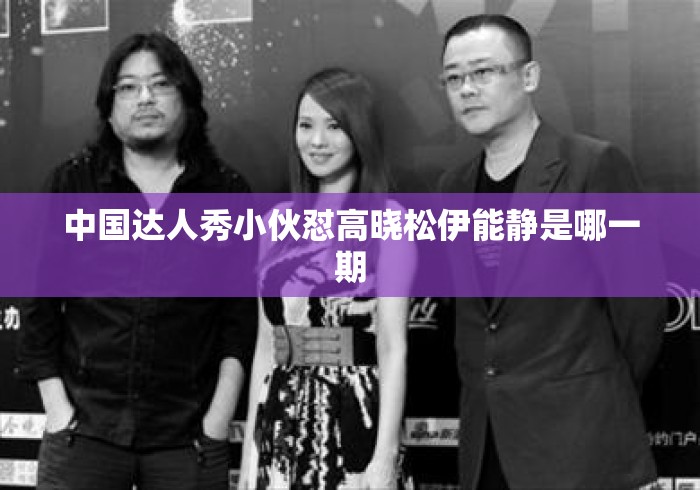 中国达人秀小伙怼高晓松伊能静是哪一期