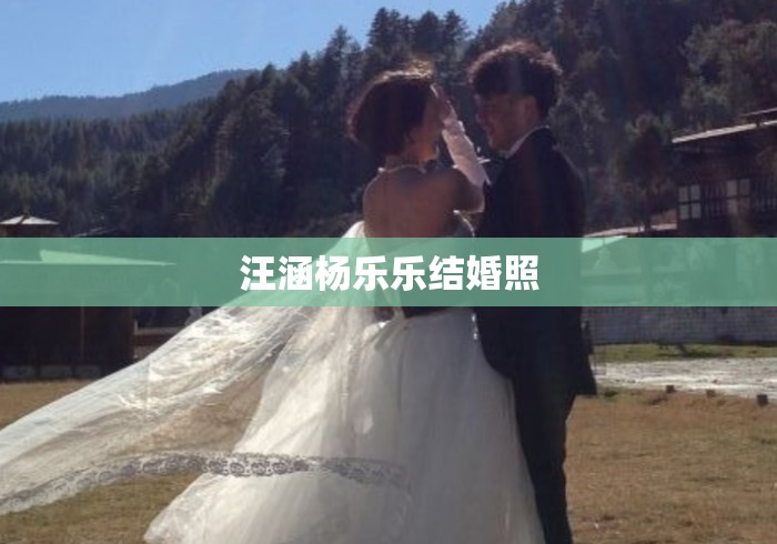 汪涵杨乐乐结婚照