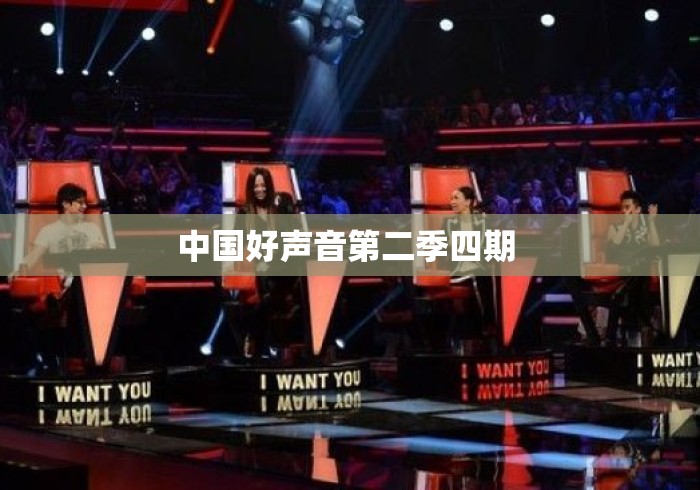中国好声音第二季四期 