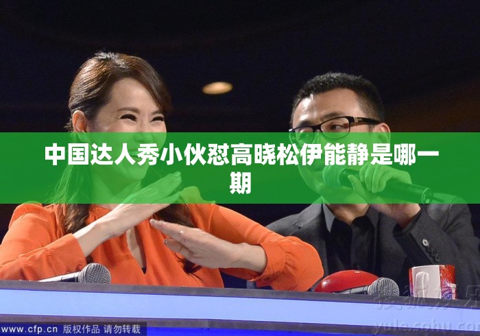 中国达人秀小伙怼高晓松伊能静是哪一期