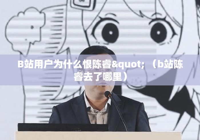 B站用户为什么恨陈睿" （b站陈睿去了哪里）