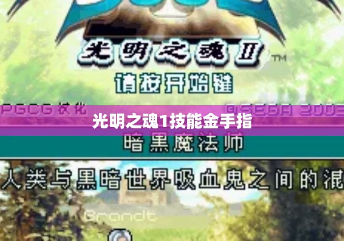 光明之魂1技能金手指
