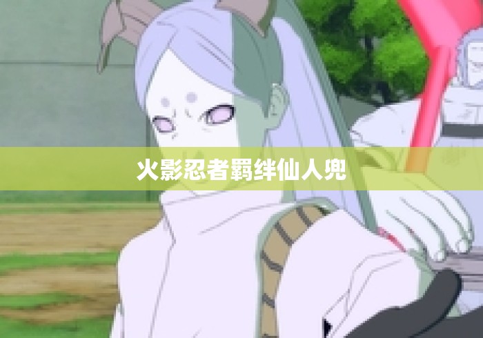 火影忍者羁绊仙人兜