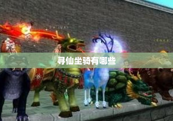 寻仙坐骑有哪些