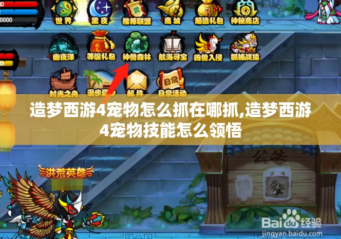 造梦西游4宠物怎么抓在哪抓,造梦西游4宠物技能怎么领悟