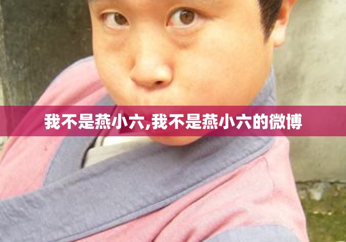 我不是燕小六,我不是燕小六的微博