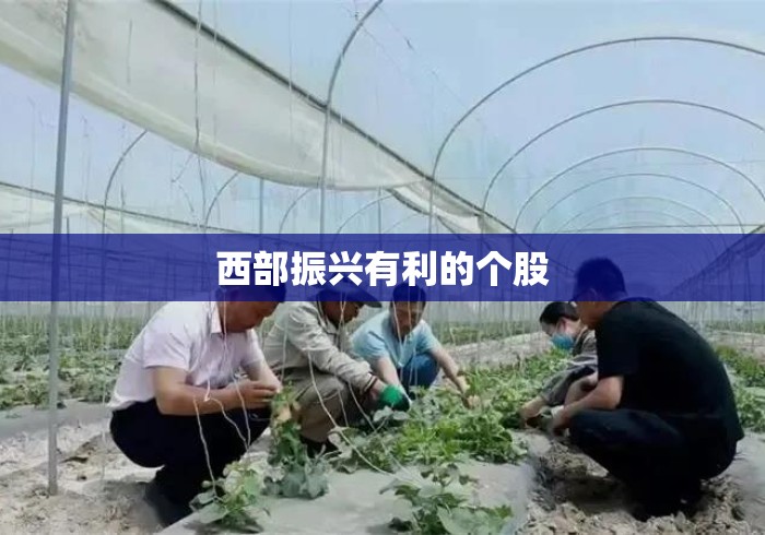 西部振兴有利的个股