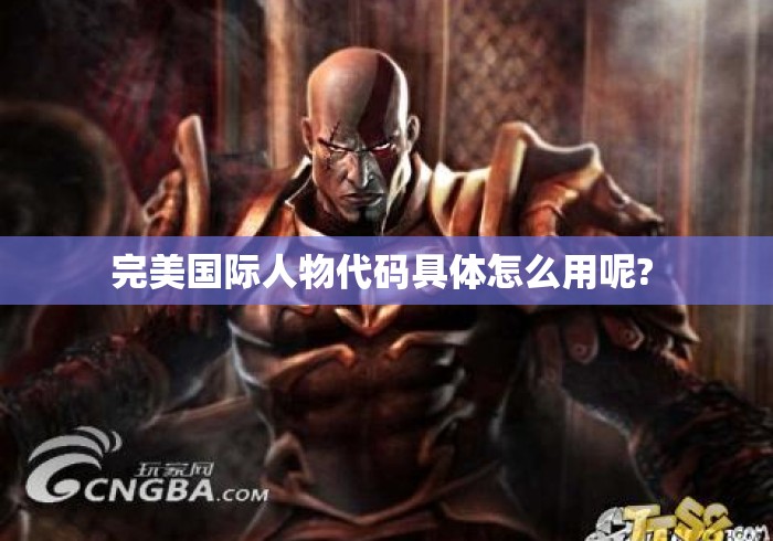 完美国际人物代码具体怎么用呢? 