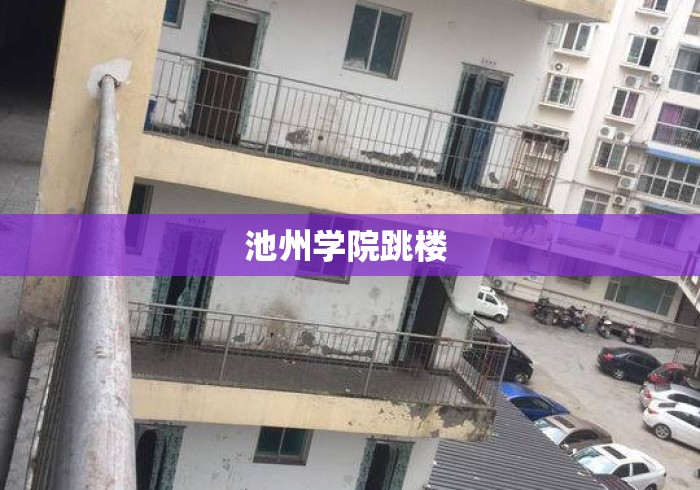 池州学院跳楼 