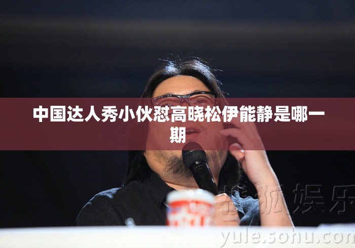 中国达人秀小伙怼高晓松伊能静是哪一期
