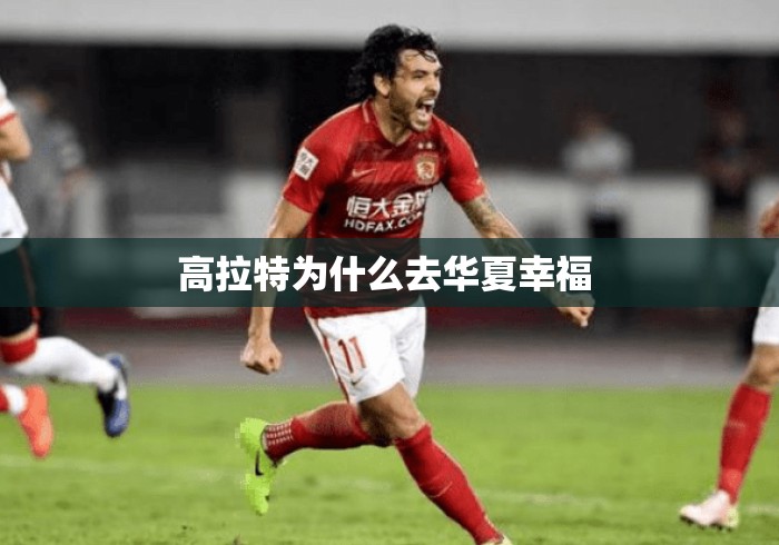 高拉特为什么去华夏幸福 