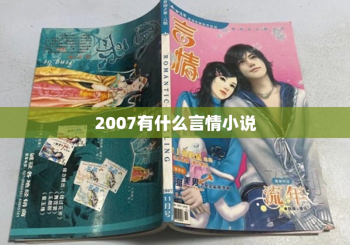 2007有什么言情小说