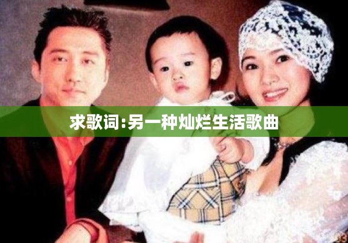 求歌词:另一种灿烂生活歌曲