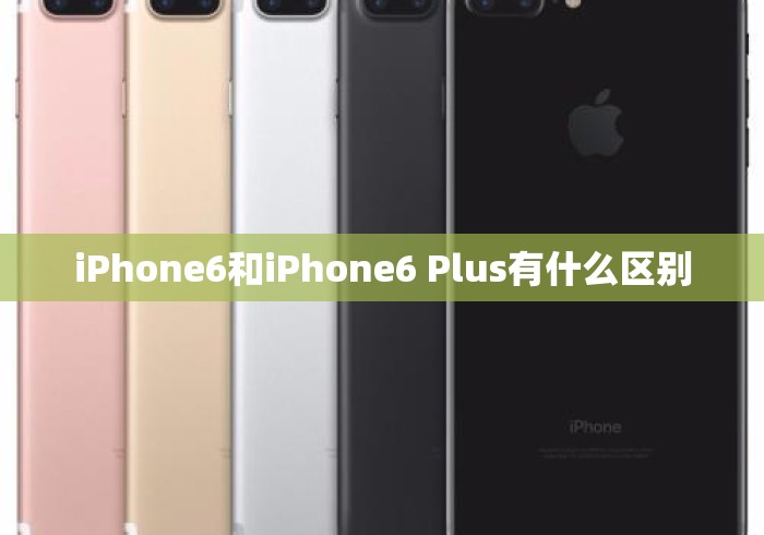 iPhone6和iPhone6 Plus有什么区别 iPhone6和iPhone6 Plus有什么区别
