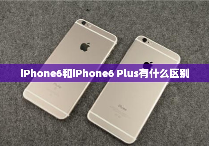 iPhone6和iPhone6 Plus有什么区别 iPhone6和iPhone6 Plus有什么区别