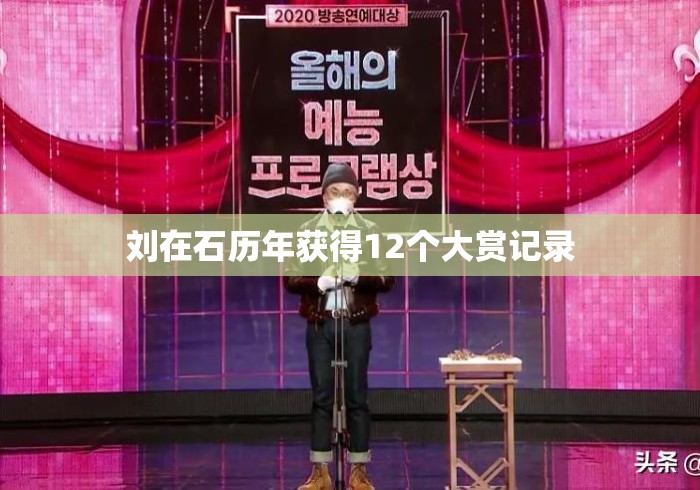 刘在石历年获得12个大赏记录