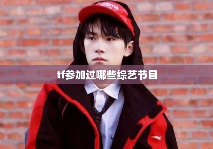 tf参加过哪些综艺节目
