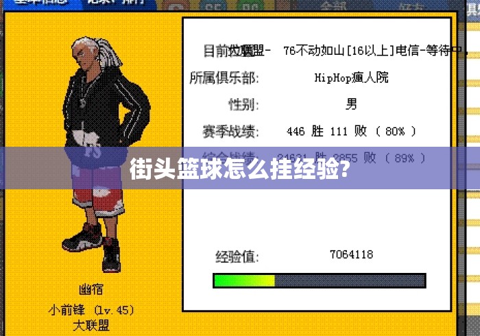 街头篮球怎么挂经验? 街头篮球怎么挂经验?