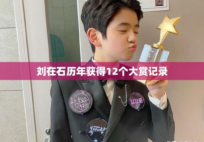 刘在石历年获得12个大赏记录