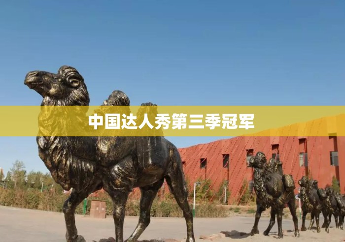 中国达人秀第三季冠军 