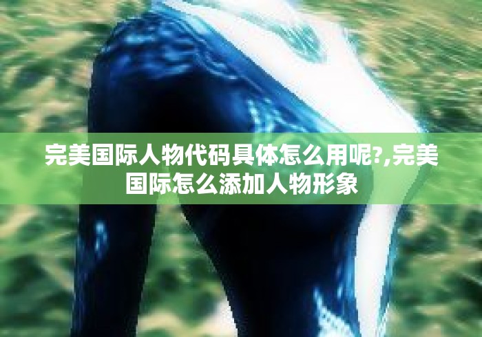 完美国际人物代码具体怎么用呢?,完美国际怎么添加人物形象 完美国际人物代码具体怎么用呢?,完美国际怎么添加人物形象