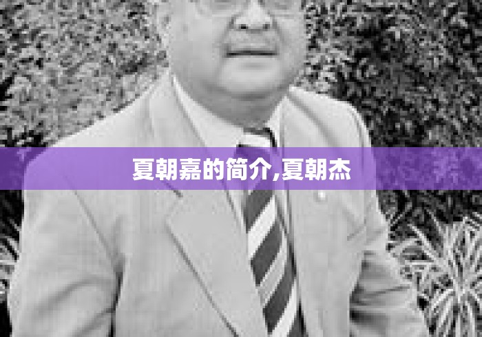 夏朝嘉的简介,夏朝杰 夏朝嘉的简介,夏朝杰