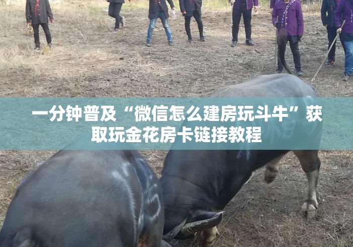 一分钟普及“微信怎么建房玩斗牛”获取玩金花房卡链接教程 一分钟普及“微信怎么建房玩斗牛”获取玩金花房卡链接教程