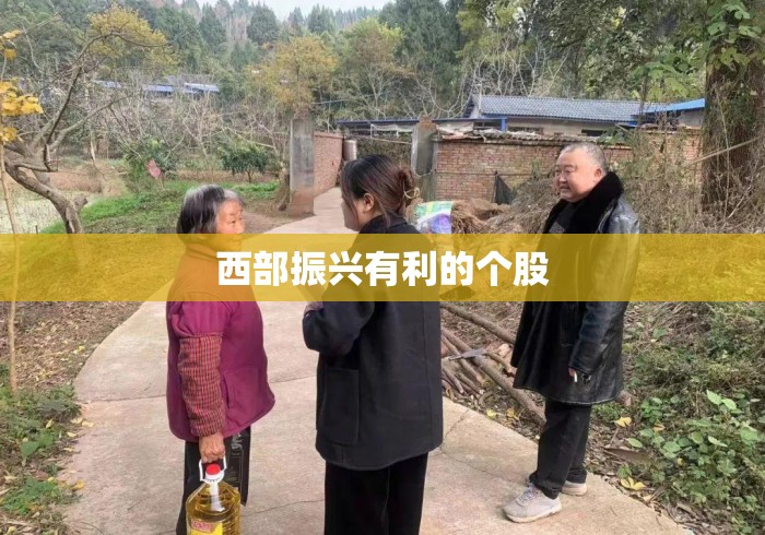 西部振兴有利的个股 西部振兴有利的个股